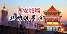 美国大鸡吧艹逼视频无码中国陕西-西安城墙旅游风景区